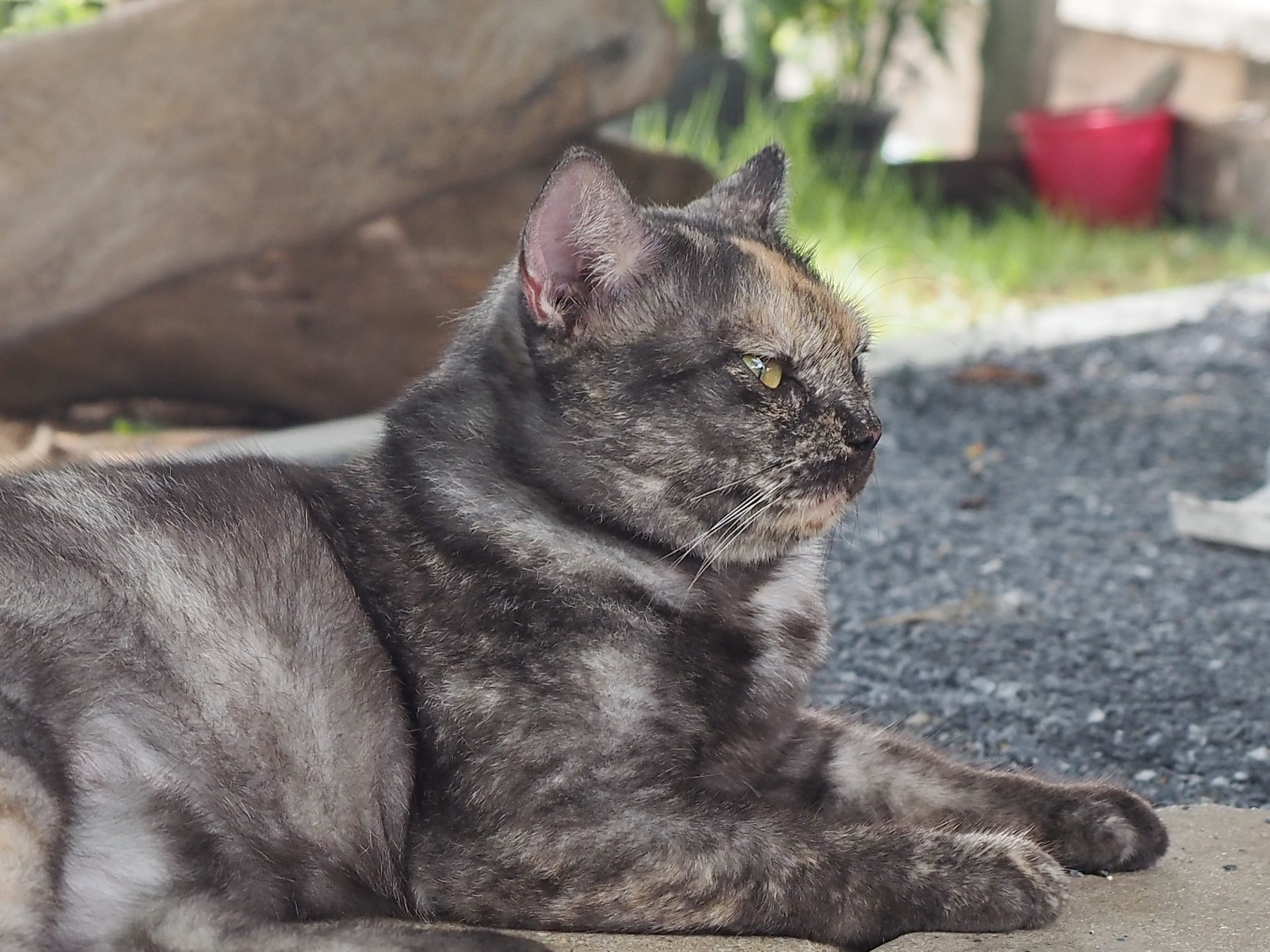 พอฝนพรำ ซ้ำติด ลูกศิษย์หนี 4