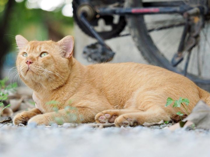 หกสองออก บอกไป แม้นใครถาม 1