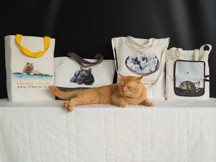 #กระเป๋าผ้าบ้านทองมี ผลิตเสร็จเรียบร้อยหมดแล้ว ช่วงนี้จึงกำลังจัดส่งไปให้ทุุกท่า 1