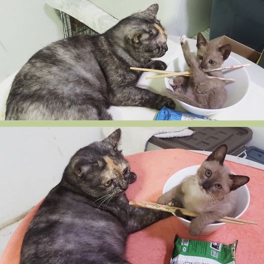 ครบหนึ่งเดือน เคลื่อนไป ช่างไวแท้ 1