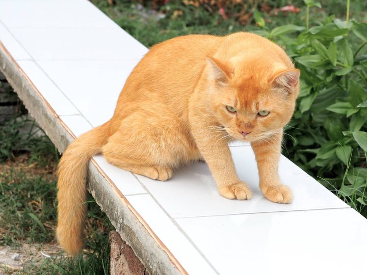 อยากพักผ่อน หย่อนใจ ที่ไหนบ้าง 1