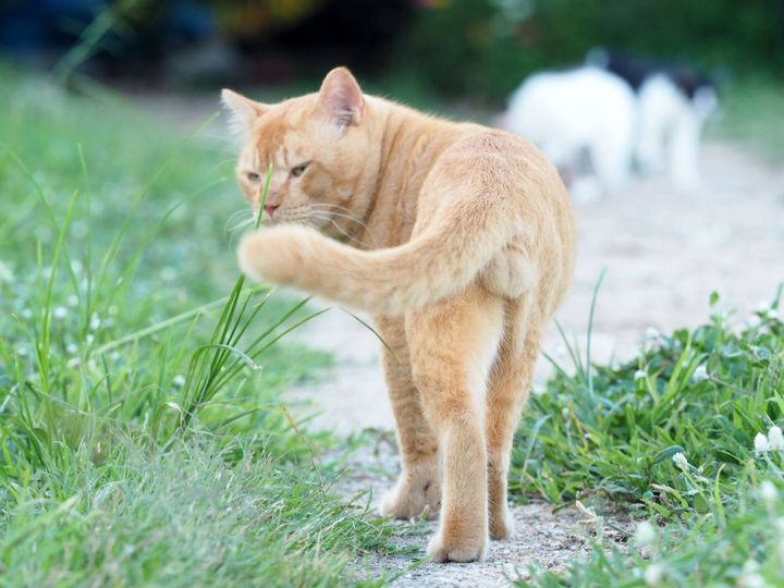 อยากเที่ยวกรุง มุ่งท่อง ไปลองเที่ยว 1