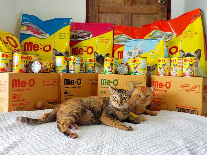 มีผู้ใหญ่ ใจงาม เขาตามเฝ้า 1