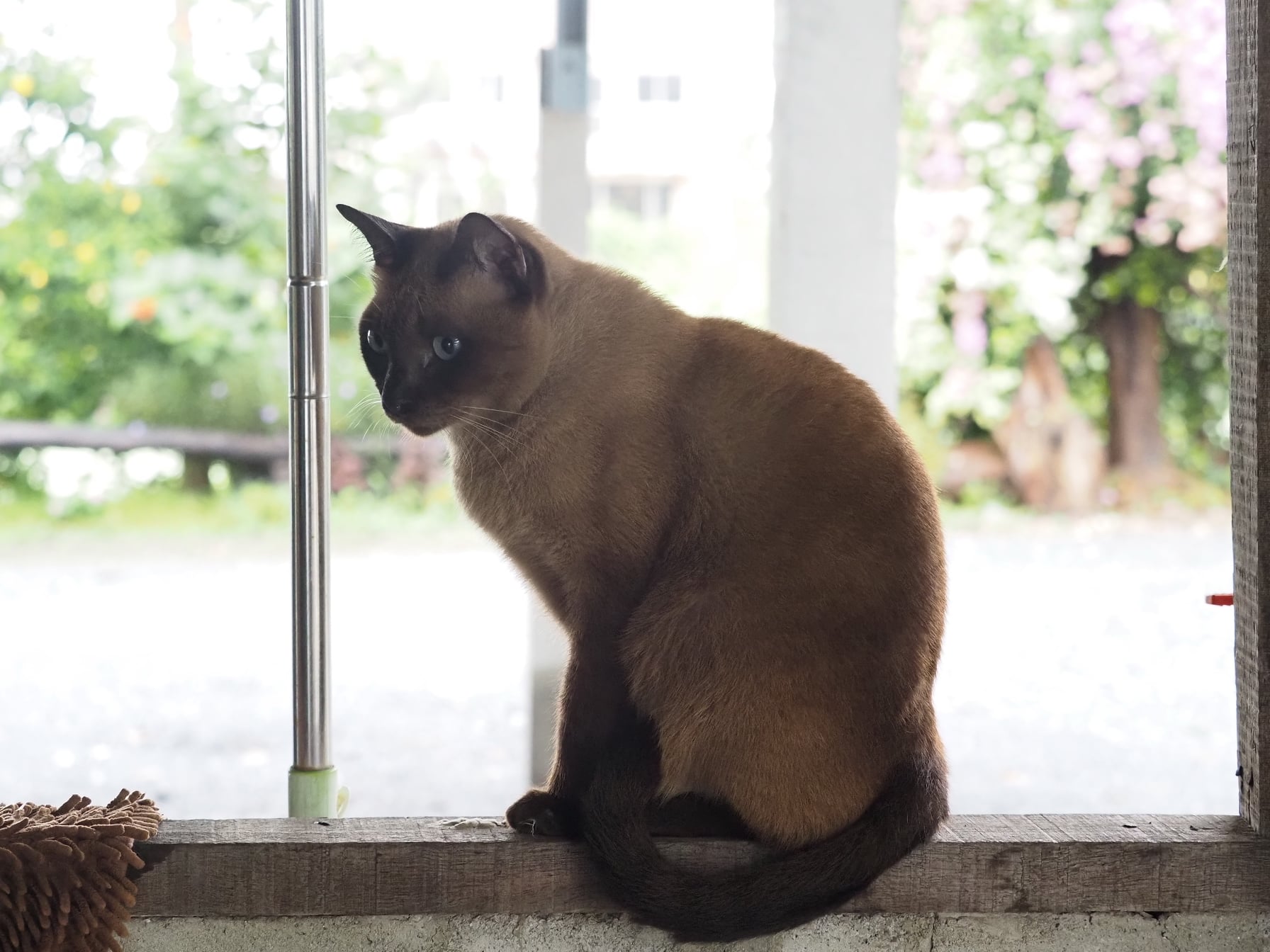 ชวนกันออก นอกห้อง มามองฟ้า 2