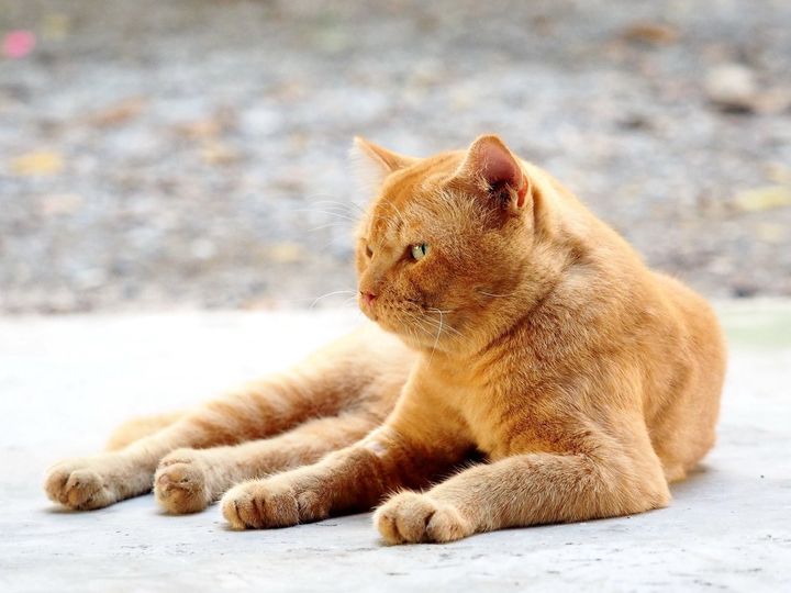 ฝนมาพรำ ฉ่ำชื้น จนพื้นเฉอะ 1