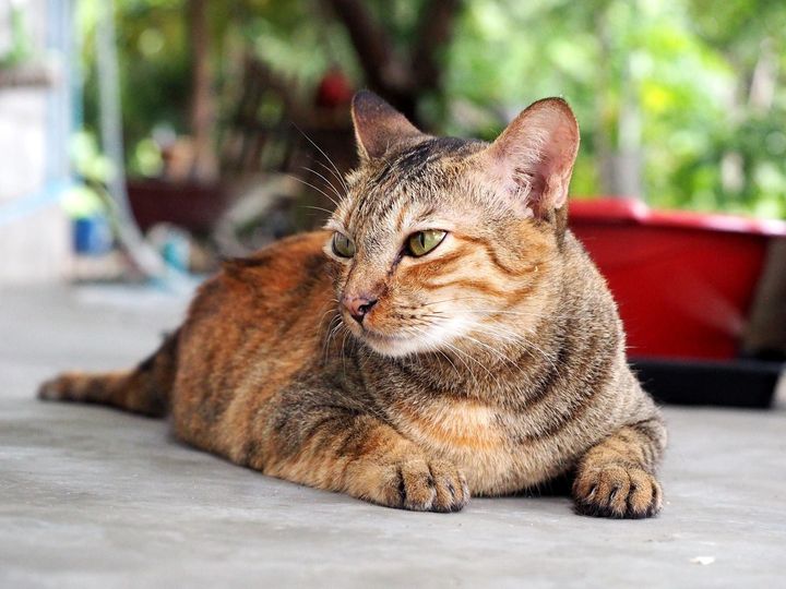 จะเข้ากรุง ยุ่งจัง มานั่งเศร้า 1