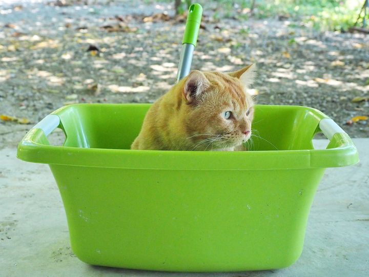 กระทงปล่อย คงลอยค้าง อยู่ข้างฟาก 1