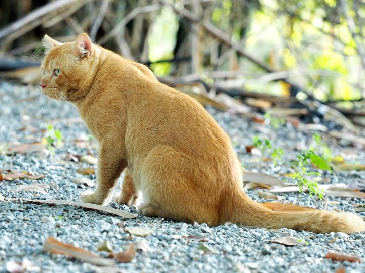 เลิกจากงาน ผ่านป่า และนาทุ่ง 1