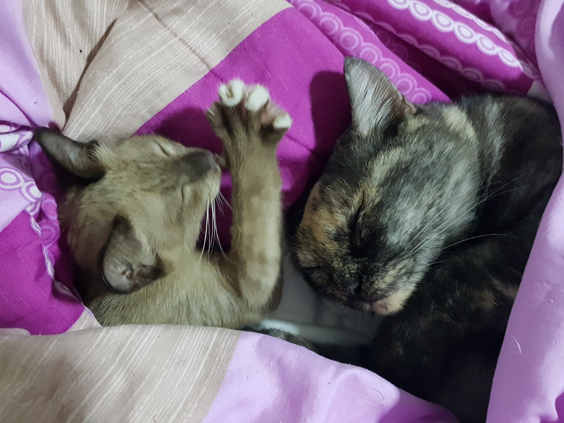 นอนทั้งวัน ฝันหวาน อาจารย์ศิษย์ 2