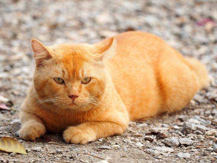 งานมีมาก หลากหลาย จนบ่ายค่ำ 1