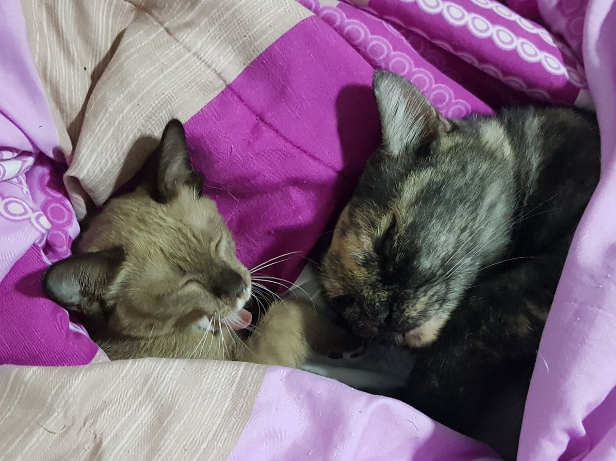 นอนทั้งวัน ฝันหวาน อาจารย์ศิษย์ 1