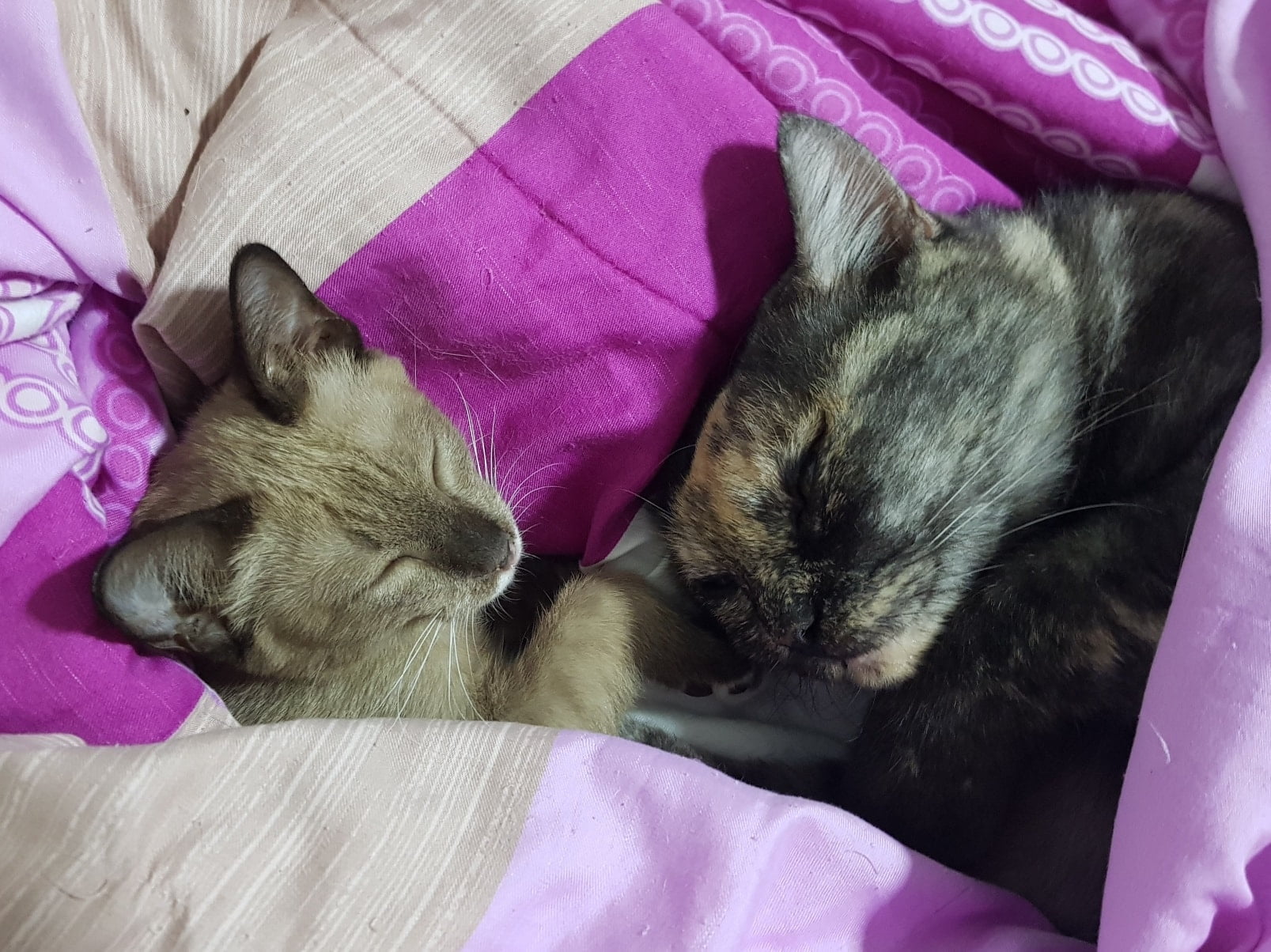 นอนทั้งวัน ฝันหวาน อาจารย์ศิษย์ 3