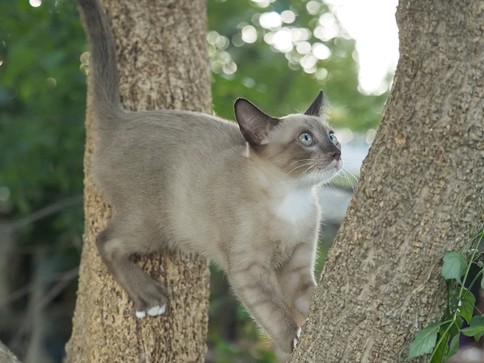 อาจารย์นัด จัดสอน ให้ก่อนค่ำ 1