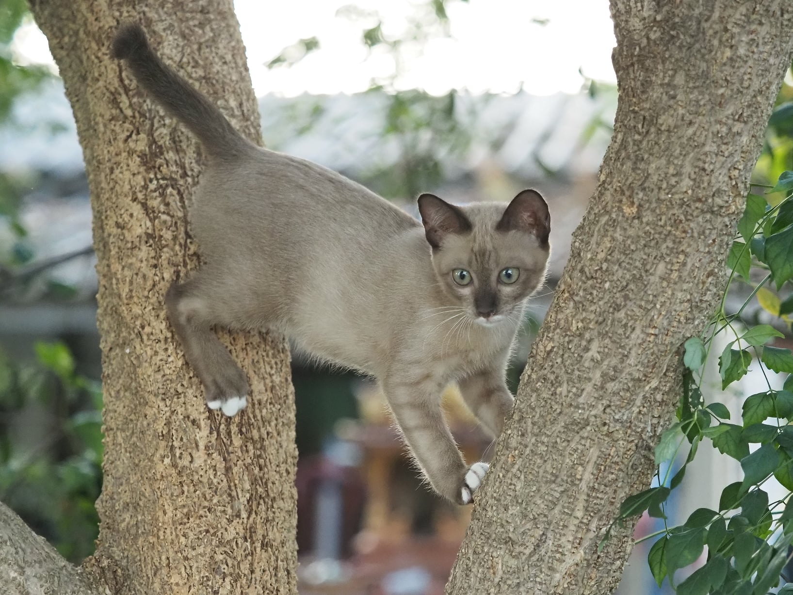 อาจารย์นัด จัดสอน ให้ก่อนค่ำ 3