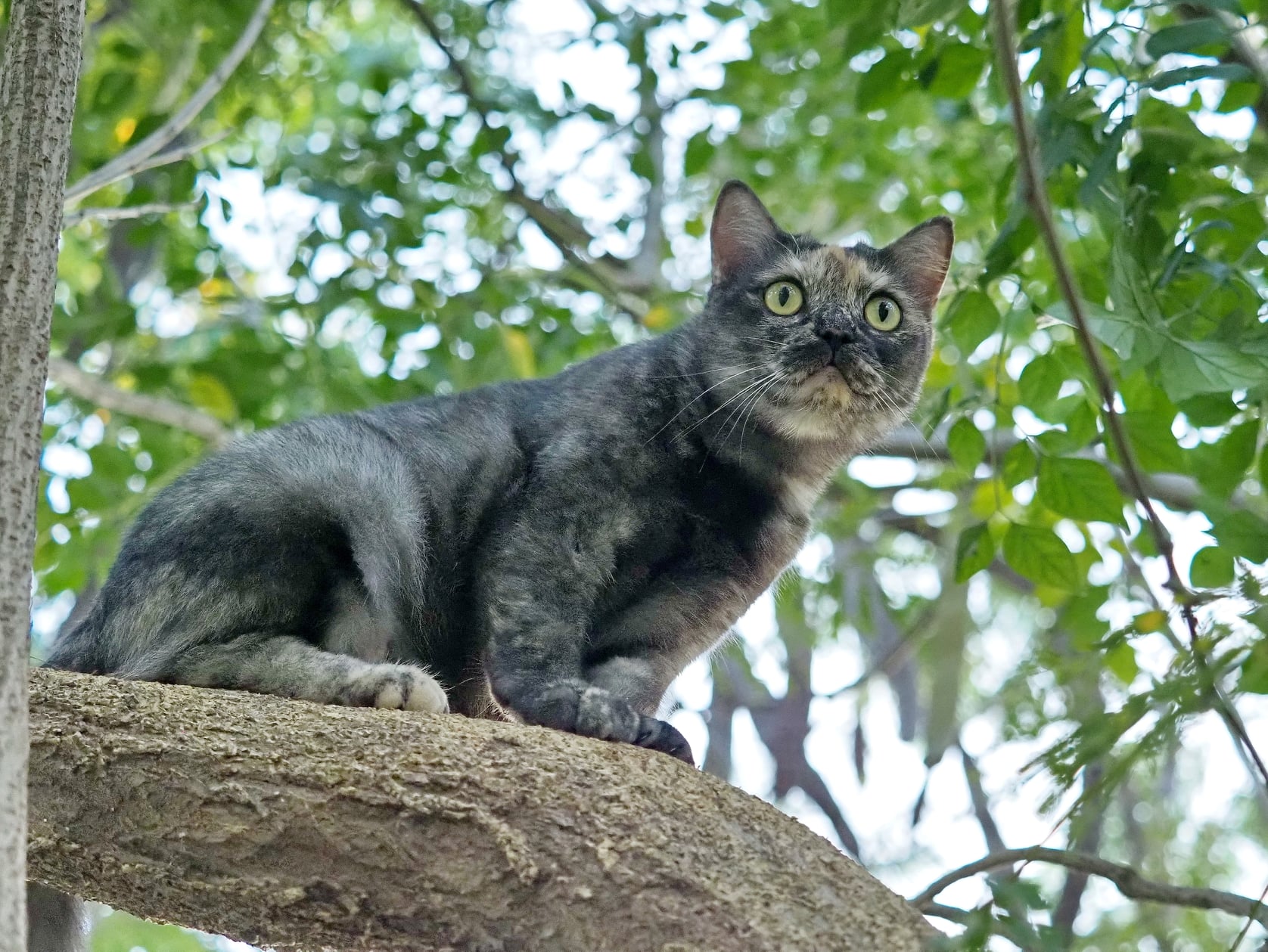 อาจารย์นัด จัดสอน ให้ก่อนค่ำ 2