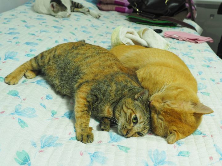เสียงฝนสาด ซัดซ่า คืนฟ้าหม่น 1