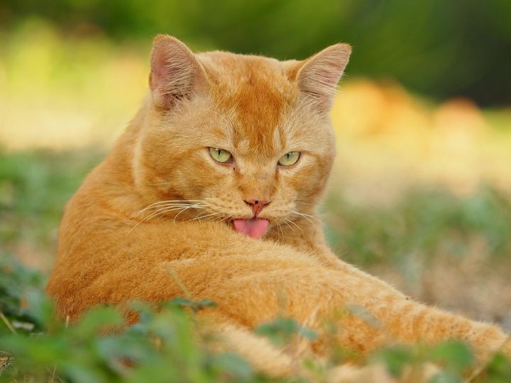 ห่วงแฟนแฟน แดนไกล ด้วยใจรัก 1