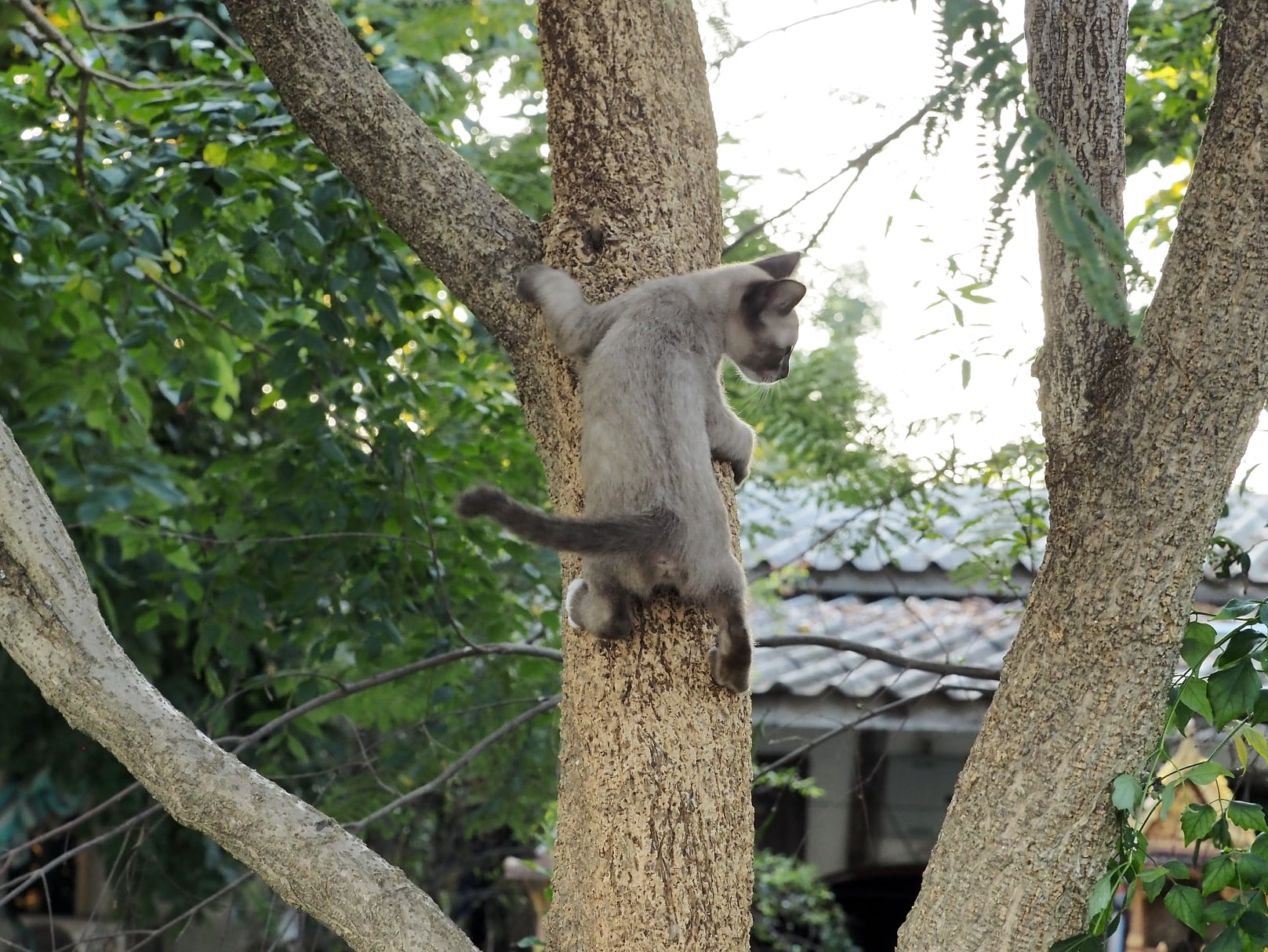 อาจารย์นัด จัดสอน ให้ก่อนค่ำ 5