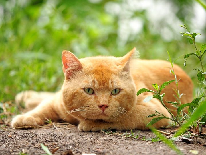 สำรวจคลอง ท้องนา กลับมาบ่าย 1