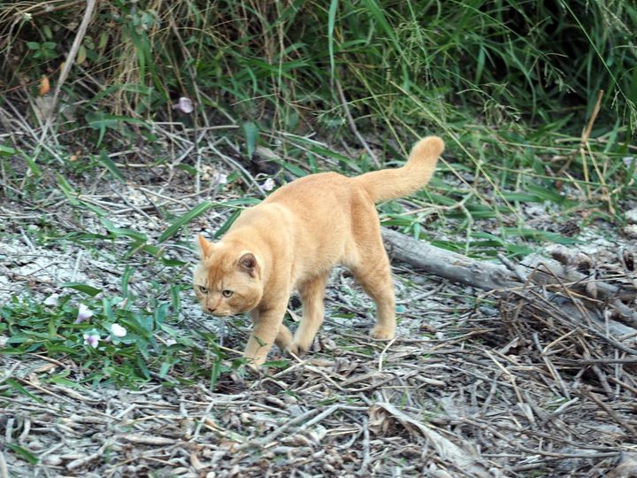 ออกสำรวจ ตรวจคลอง ดูท้องทุ่ง 1