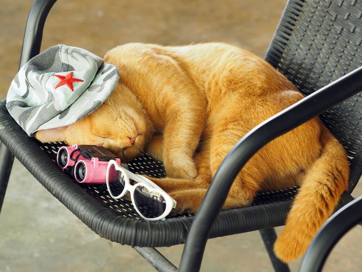 ทั้งเรือนชาน บ้านช่อง ที่ต้องเฝ้า 1