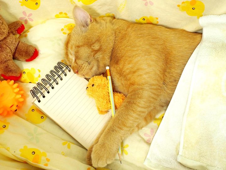 ทั้งสัปดาห์ ล้านัก เลยพักผ่อน 1