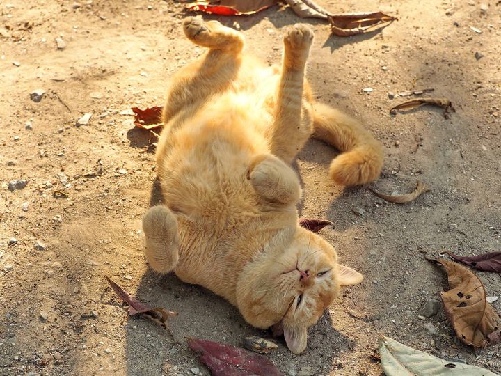 แดดมันร้อน เหนื่อยอ่อน ใช่นอนยั่ว 1