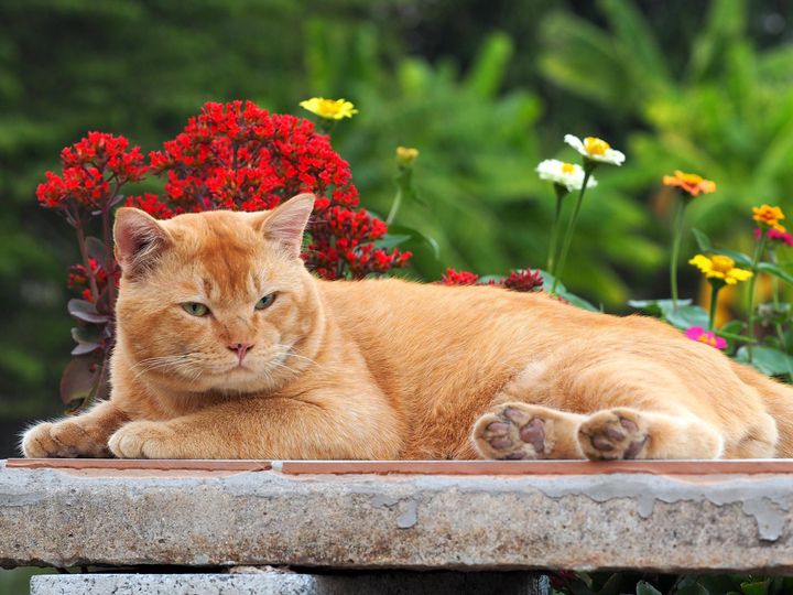 เห็นนาไร่ ไกลตา แล้วพาเศร้า 1