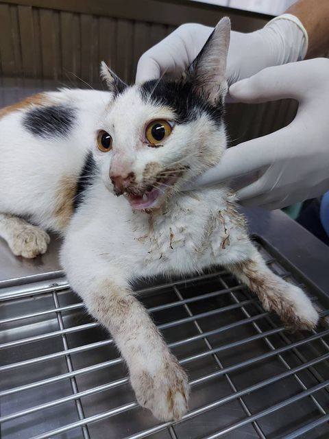 ปิดเคส #ลูกกวาด 1