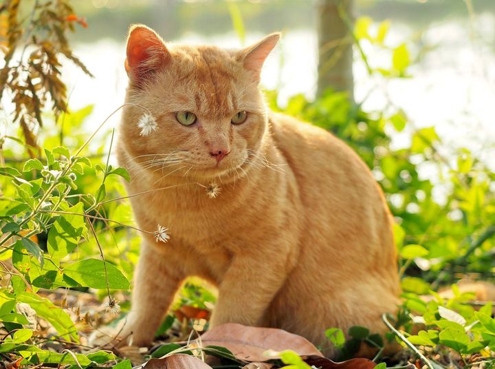 อยู่ริมฝั่ง นั่งเพ้อ ละเมอหา 1