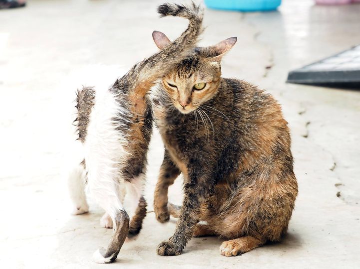 อาบน้ำก่อน ร้อนนัก วันพักผ่อน 1