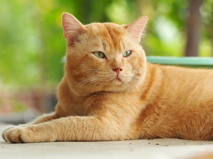 เรื่องแต่งองค์ ทรงเครื่อง ชักเรื่องใหญ่ 1