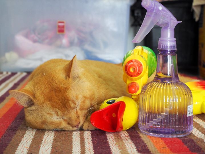 กลางวันร้อน อ่อนใจ กระไรนี่ 1