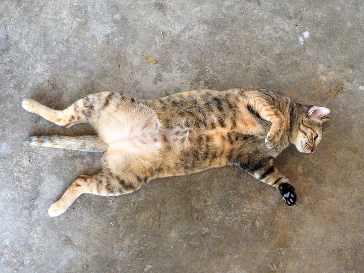 อากาศร้อน นอนท้อ มารอข่าว 1