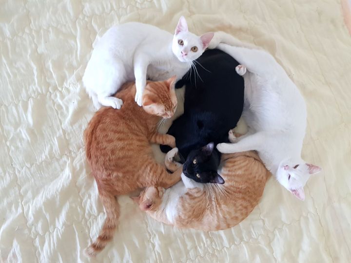 วันนี้อยากจะให้กำลังใจหลาย ๆ ท่านครับ มีเรื่องเล่ากันนิดหน่อยก่อนนอน 1