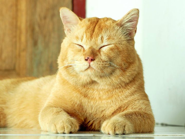 กลอนยังมาก ฝากขอ โปรดรอฉัน 1