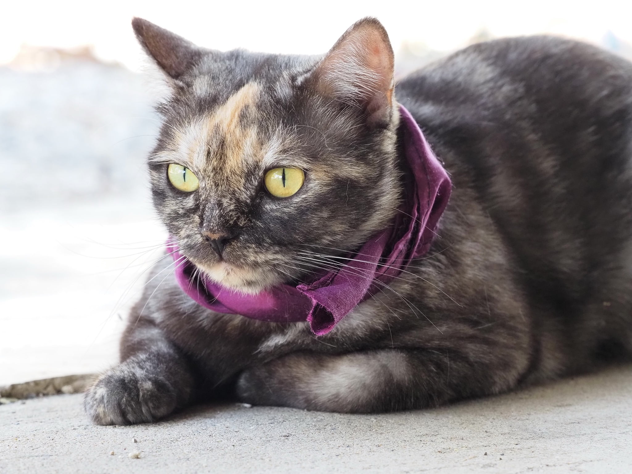 จะเดินสาย ชายทุ่ง ออกมุ่งหน้า 1