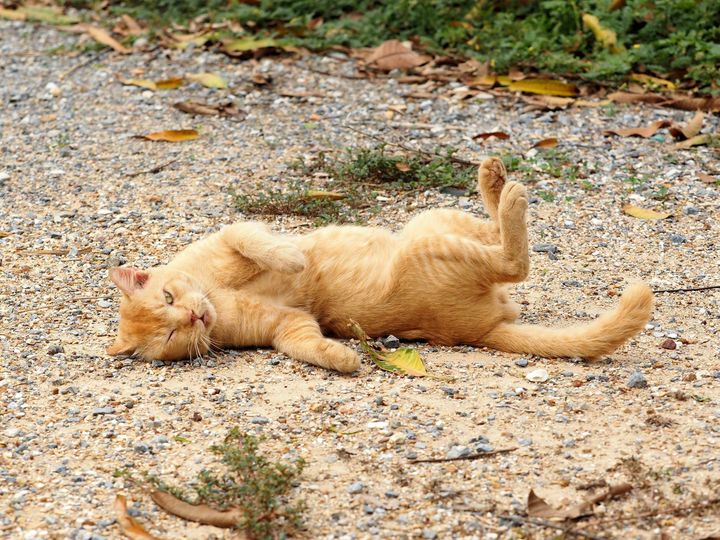 นอนชายคลอง มองฟ้า บรรยากาศ 1