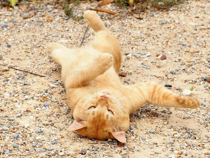 สบายนัก พักกาย อยู่ชายป่า 1