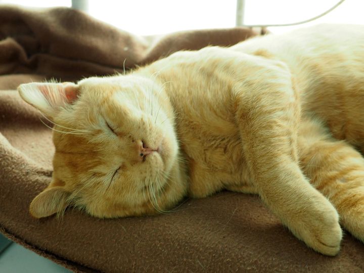 อยู่จนดึก คึกนัก ไม่พักผ่อน 1