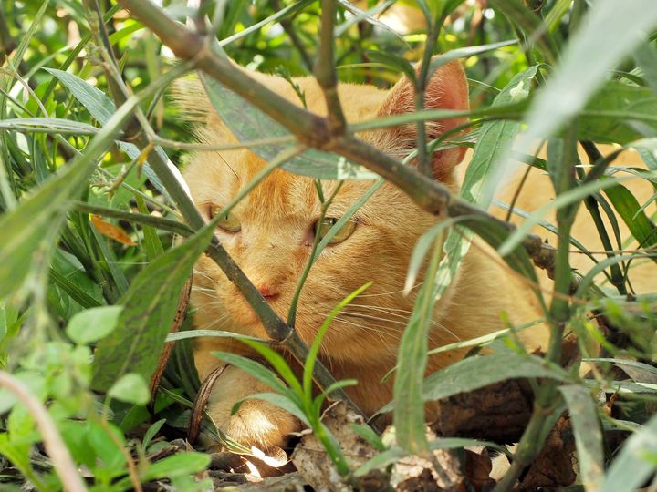 พอฝนหาย หลายวัน มันก็ร้อน 1