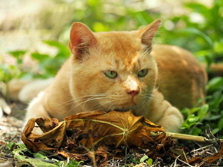 แว่วเสียงคน ทนฟัง กำลังบ่น 1