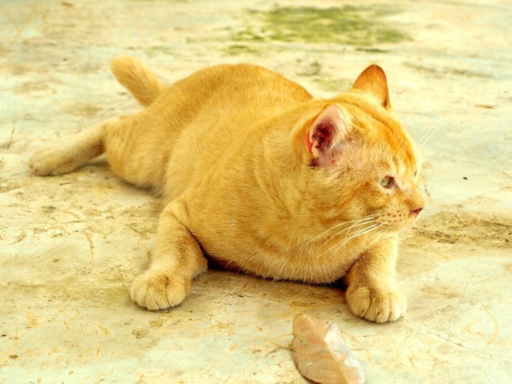 งานเรามาก หลากหลาย เตรียมจ่ายแจก 1