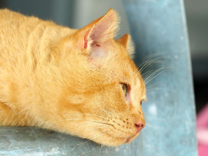 ดินยังชื้น คืนฝน เพิ่งพ้นผ่าน 1