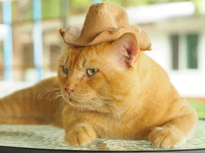 อยากทำสวน พรวนไถ ใจจะขาด 1