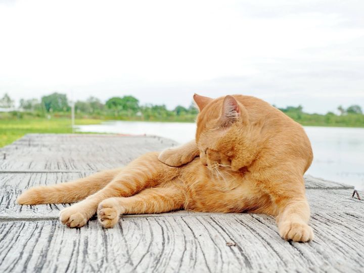 อากาศเย็น เป็นใจ อยู่ชายท่า 1