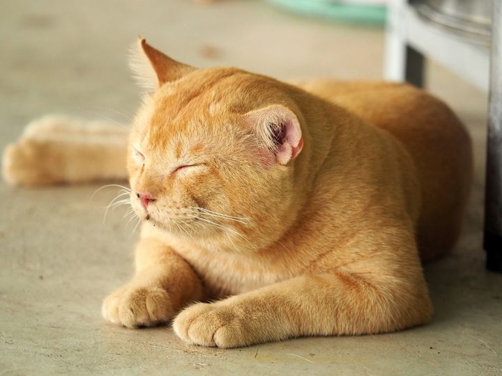 เมื่อคืนก่อน นอนดึก ใช่ลึกลับ 1