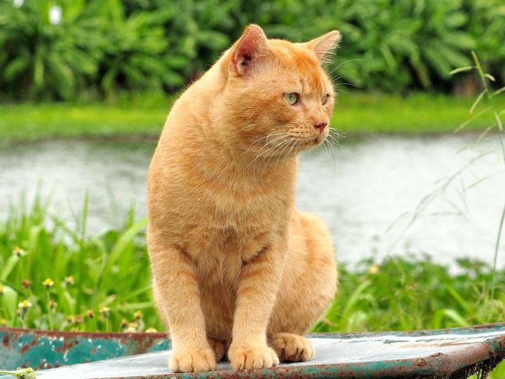 คงใกล้หนาว ข่าวเตือน ว่าเดือนหน้า 1