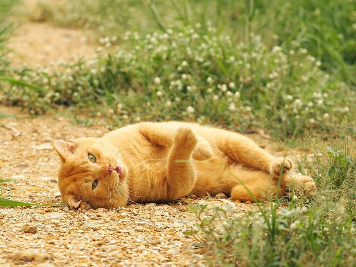 นอนสบาย ชายคลอง รอน้องพี่ 1