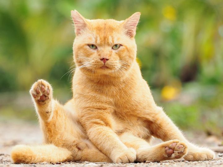 อยากเขียนกลอน ตอนเที่ยว ให้เกี่ยวเนื่อง 1